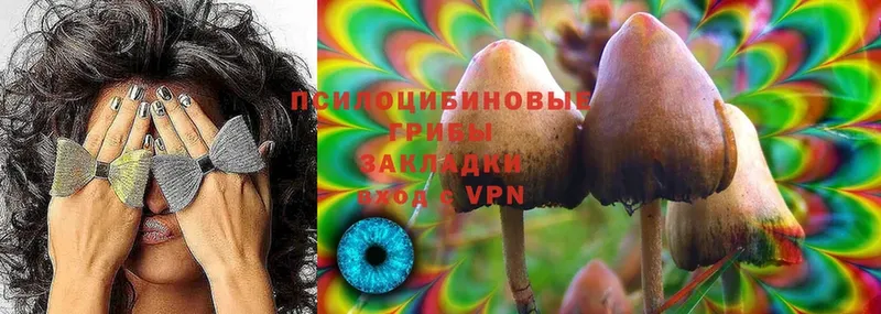 Галлюциногенные грибы Psilocybe  где можно купить наркотик  Павловский Посад 